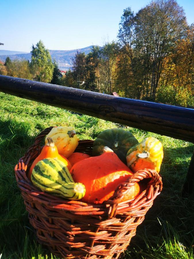 Suskie Diablaki Hotell Sucha Beskidzka Eksteriør bilde